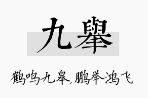 九举名字的寓意及含义