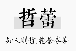 哲蕾名字的寓意及含义