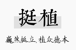 挺植名字的寓意及含义