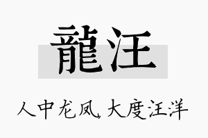 龙汪名字的寓意及含义