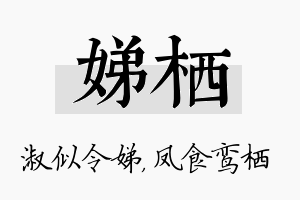 娣栖名字的寓意及含义