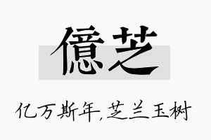 亿芝名字的寓意及含义