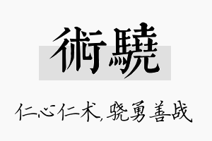 术骁名字的寓意及含义