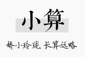 小算名字的寓意及含义