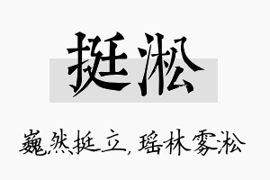 挺淞名字的寓意及含义