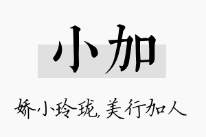 小加名字的寓意及含义