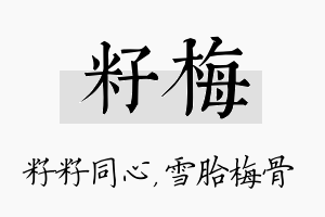 籽梅名字的寓意及含义