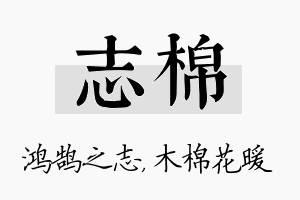 志棉名字的寓意及含义