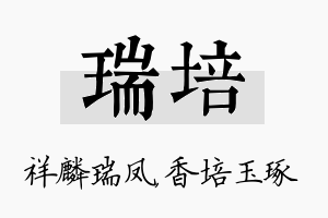 瑞培名字的寓意及含义