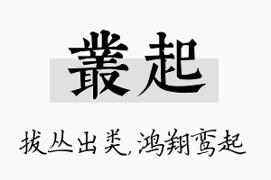 丛起名字的寓意及含义