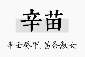 辛苗名字的寓意及含义