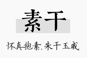 素干名字的寓意及含义