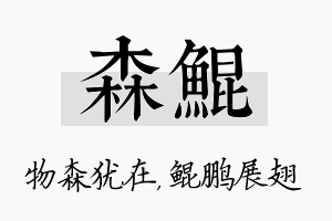 森鲲名字的寓意及含义