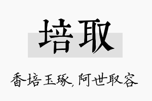 培取名字的寓意及含义