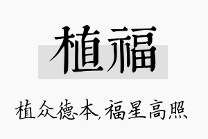 植福名字的寓意及含义