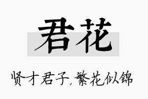 君花名字的寓意及含义