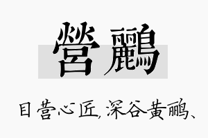 营鹂名字的寓意及含义