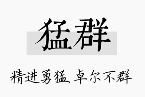 猛群名字的寓意及含义