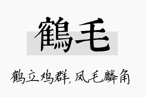 鹤毛名字的寓意及含义