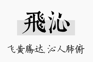 飞沁名字的寓意及含义