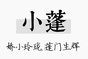 小蓬名字的寓意及含义