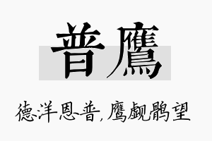 普鹰名字的寓意及含义