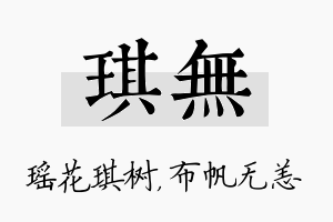 琪无名字的寓意及含义