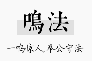 鸣法名字的寓意及含义