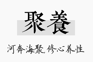 聚养名字的寓意及含义