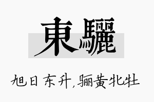 东骊名字的寓意及含义