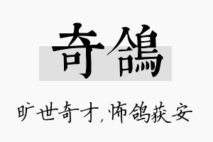 奇鸽名字的寓意及含义