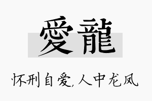 爱龙名字的寓意及含义