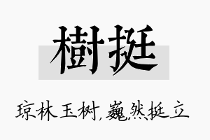 树挺名字的寓意及含义