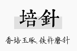 培针名字的寓意及含义