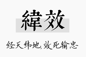 纬效名字的寓意及含义