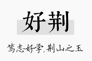 好荆名字的寓意及含义