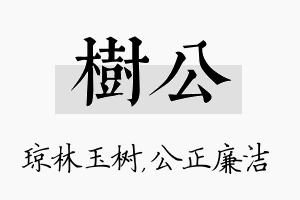 树公名字的寓意及含义