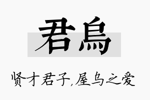 君乌名字的寓意及含义