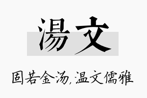 汤文名字的寓意及含义