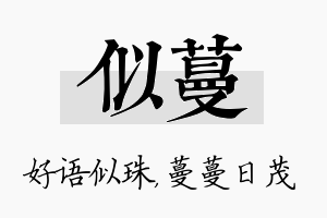 似蔓名字的寓意及含义