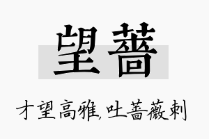 望蔷名字的寓意及含义