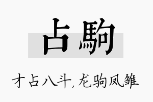 占驹名字的寓意及含义