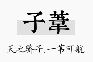 子苇名字的寓意及含义