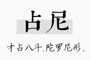 占尼名字的寓意及含义