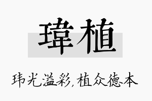 玮植名字的寓意及含义