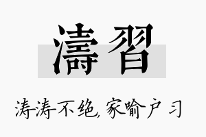 涛习名字的寓意及含义