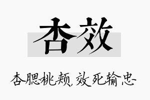 杏效名字的寓意及含义