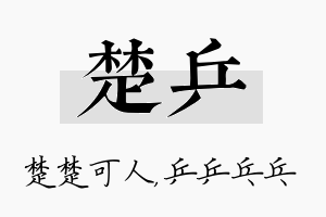 楚乒名字的寓意及含义