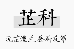 芷科名字的寓意及含义