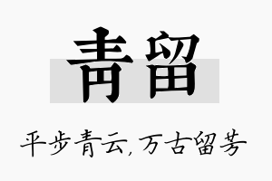 青留名字的寓意及含义